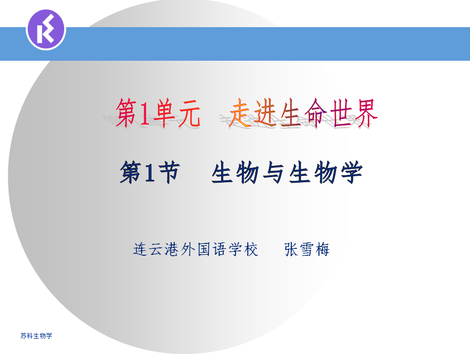 课程内容