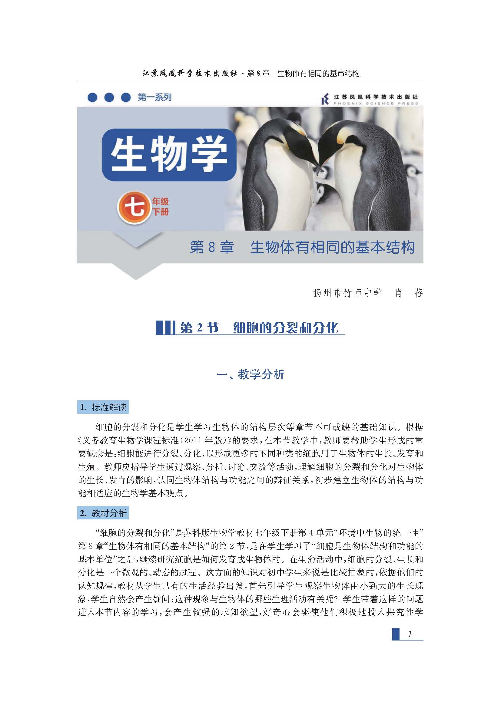课程内容