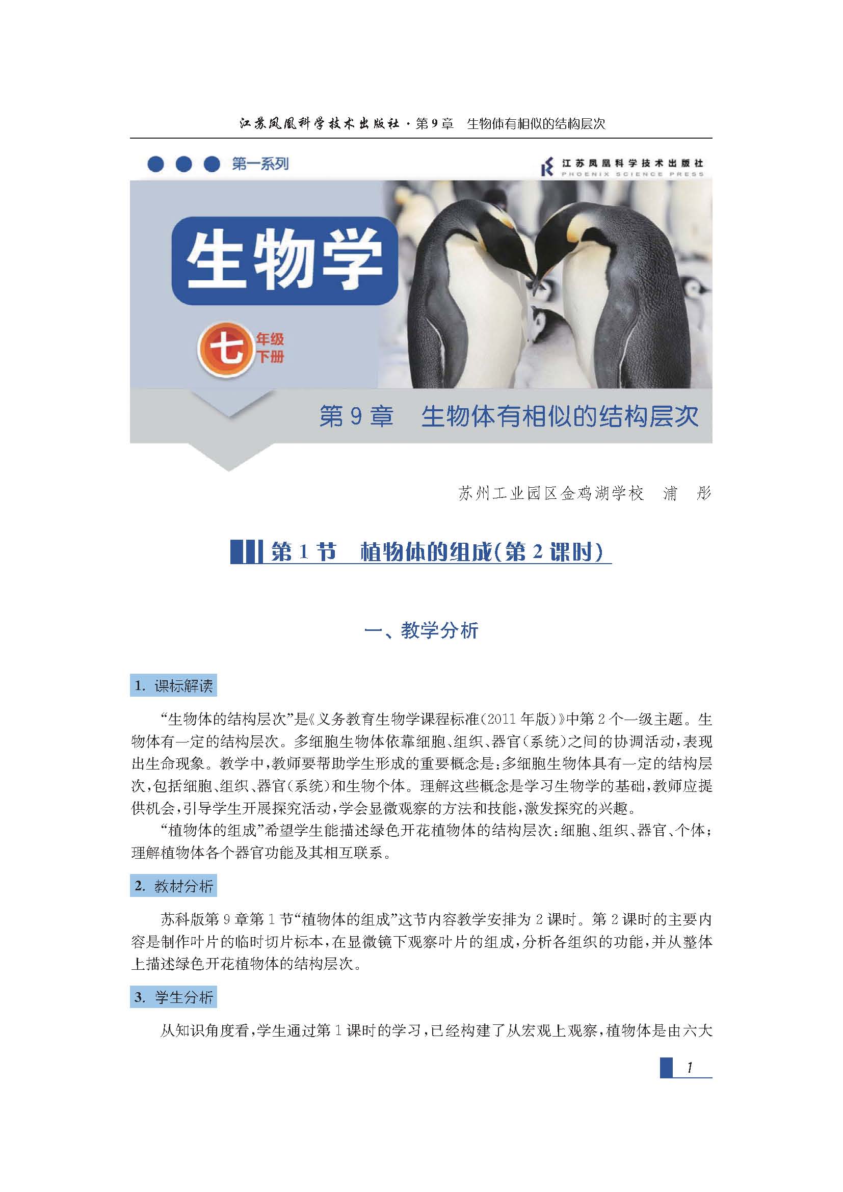 课程内容