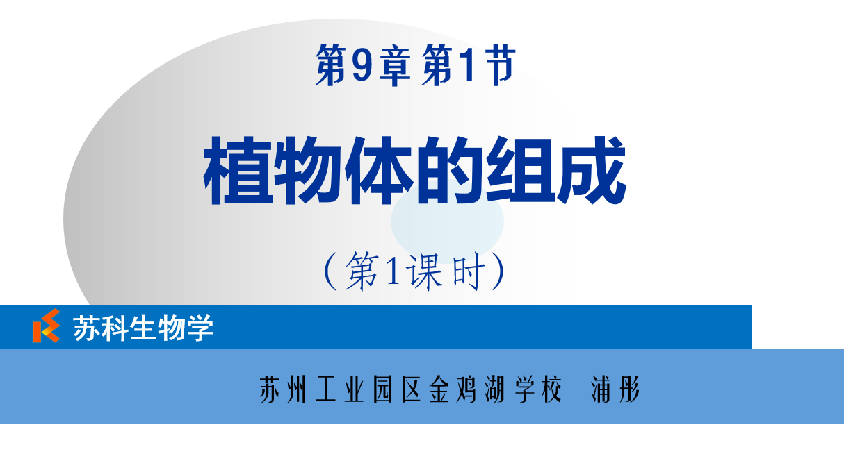 课程内容