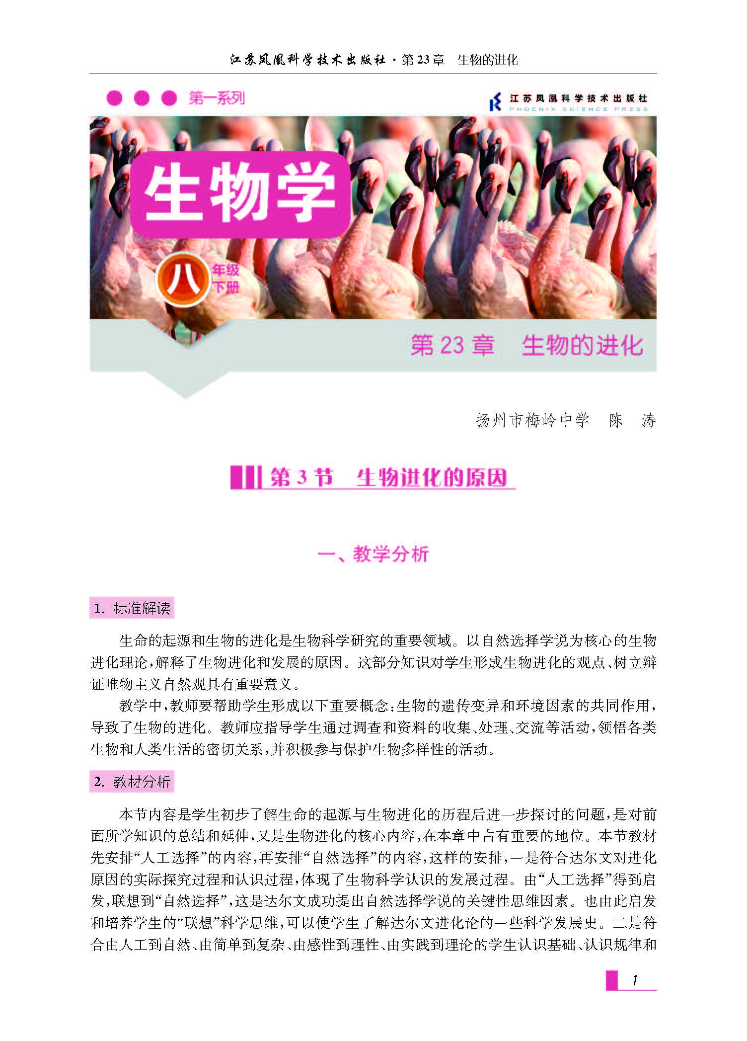 课程内容
