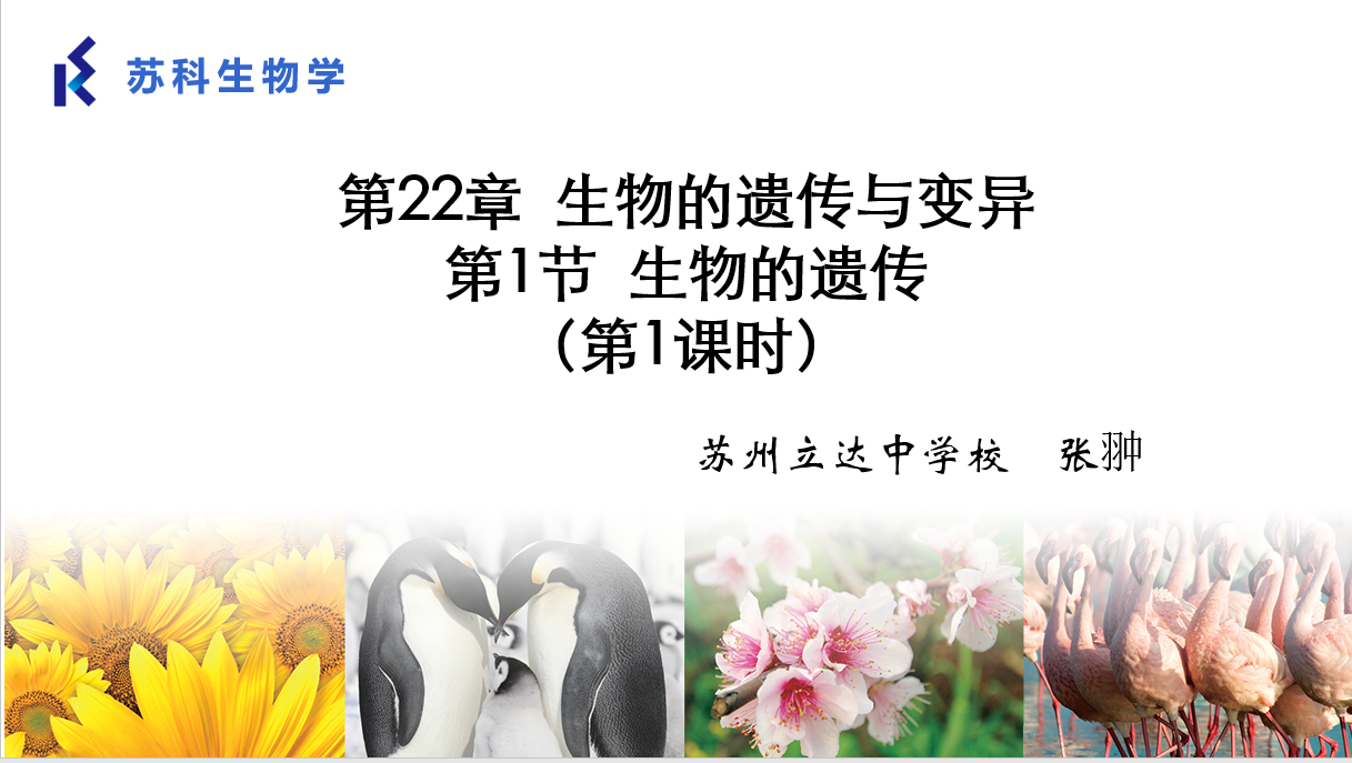 课程内容