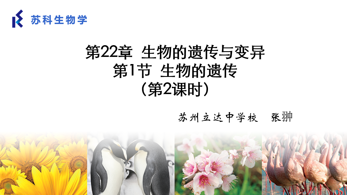 课程内容