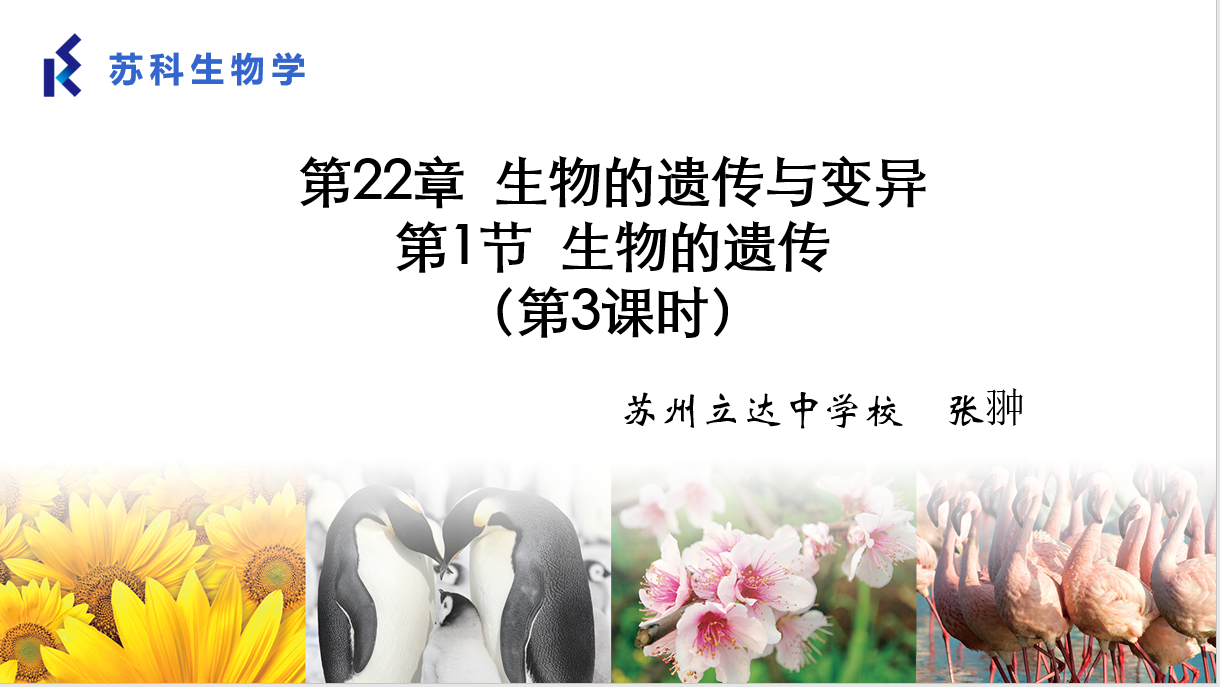 课程内容