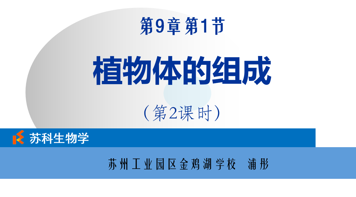 课程内容