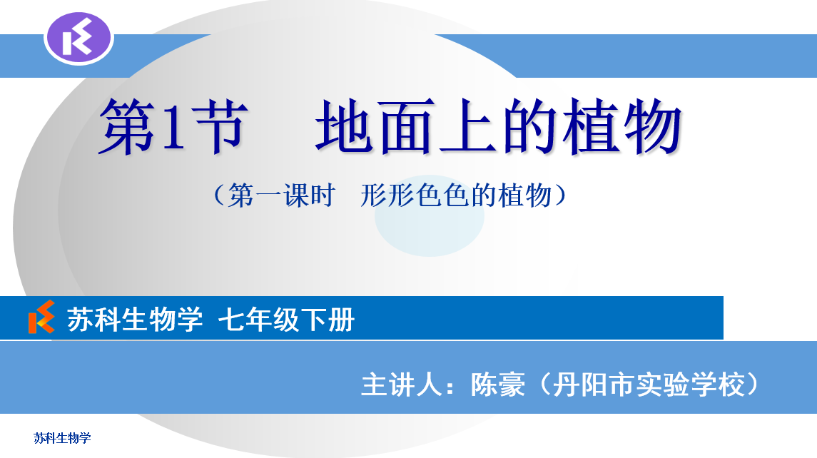 课程内容