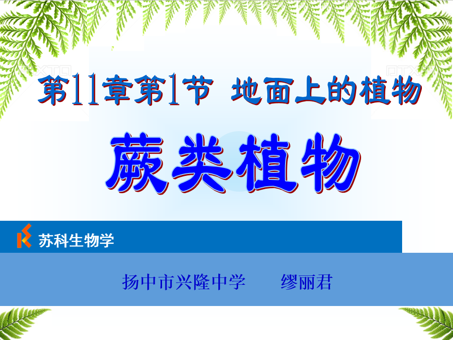 课程内容
