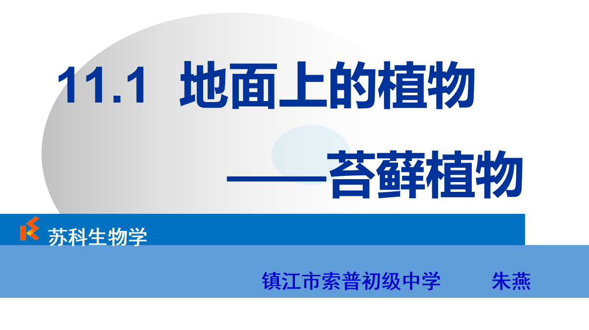 课程内容
