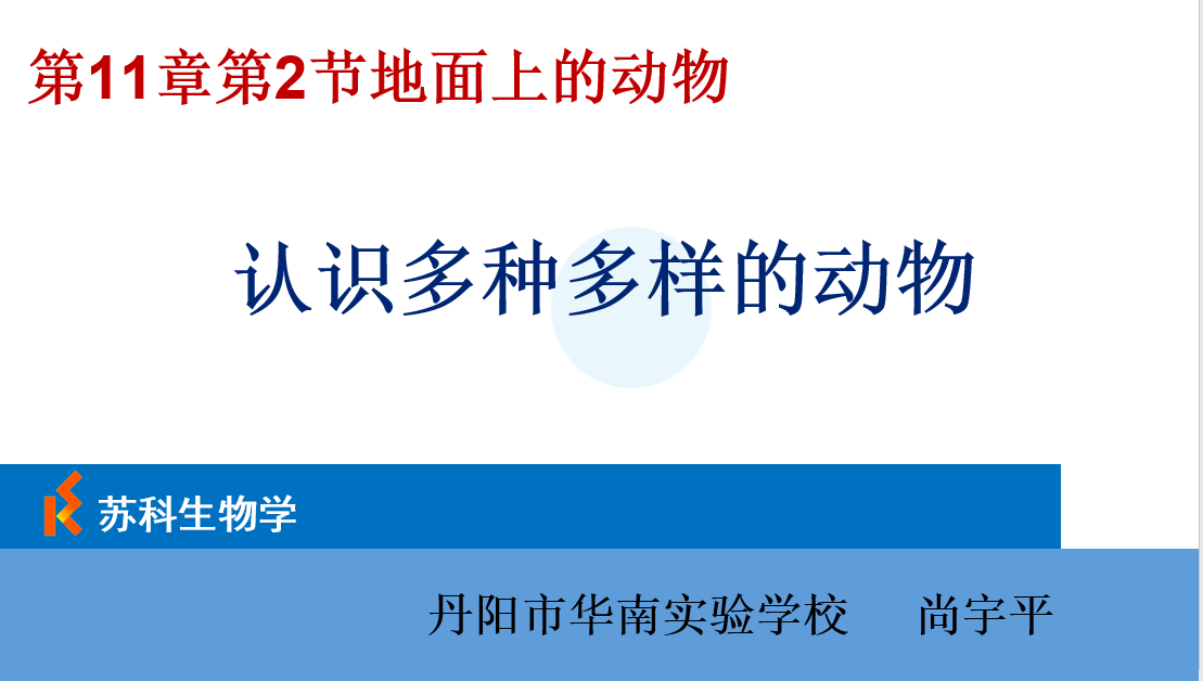 课程内容
