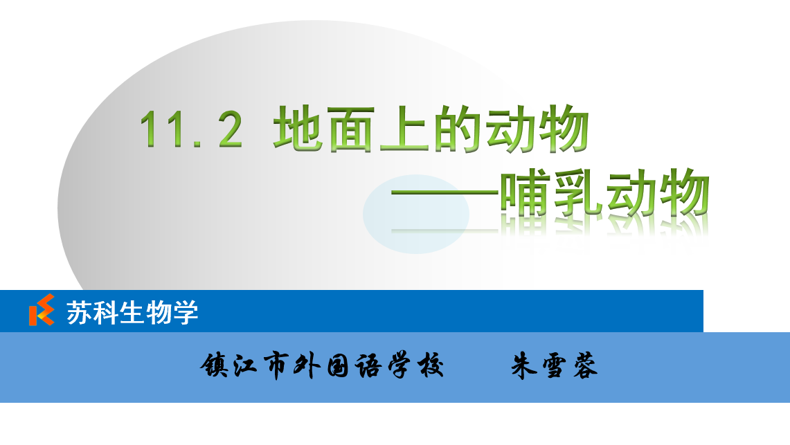 课程内容
