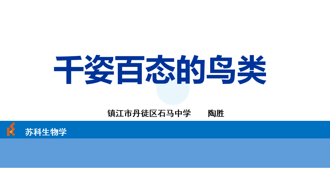 课程内容
