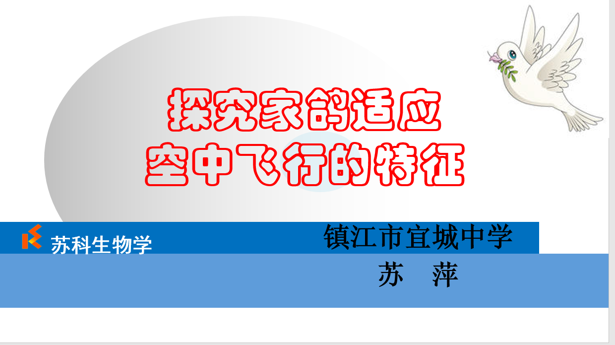 课程内容