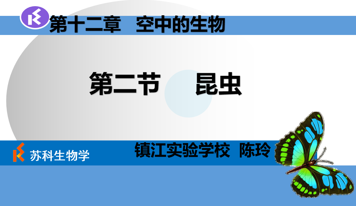 课程内容