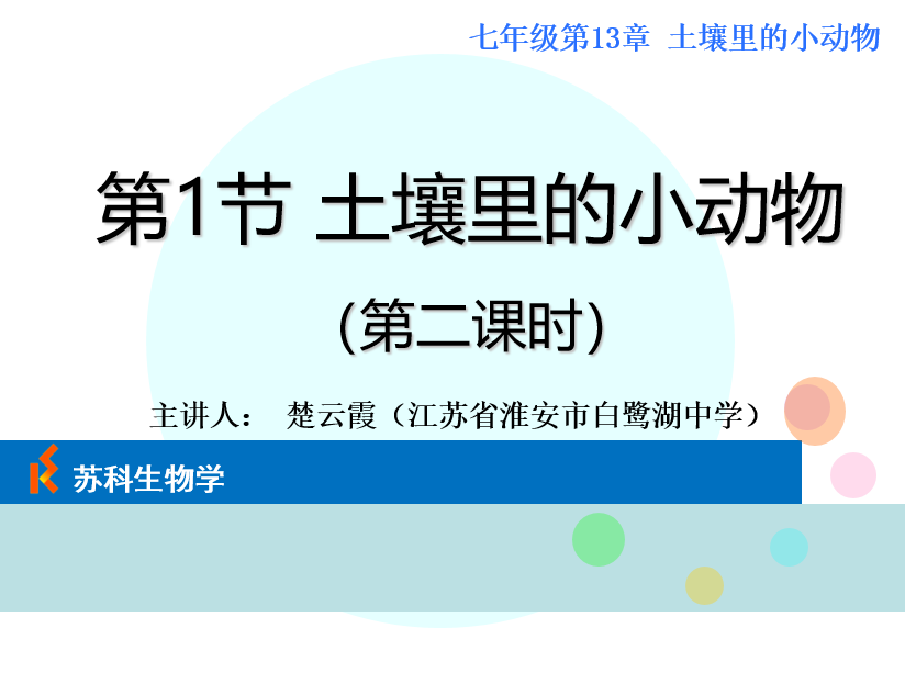 课程内容