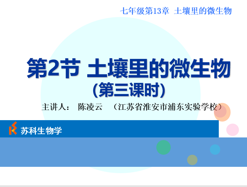 课程内容