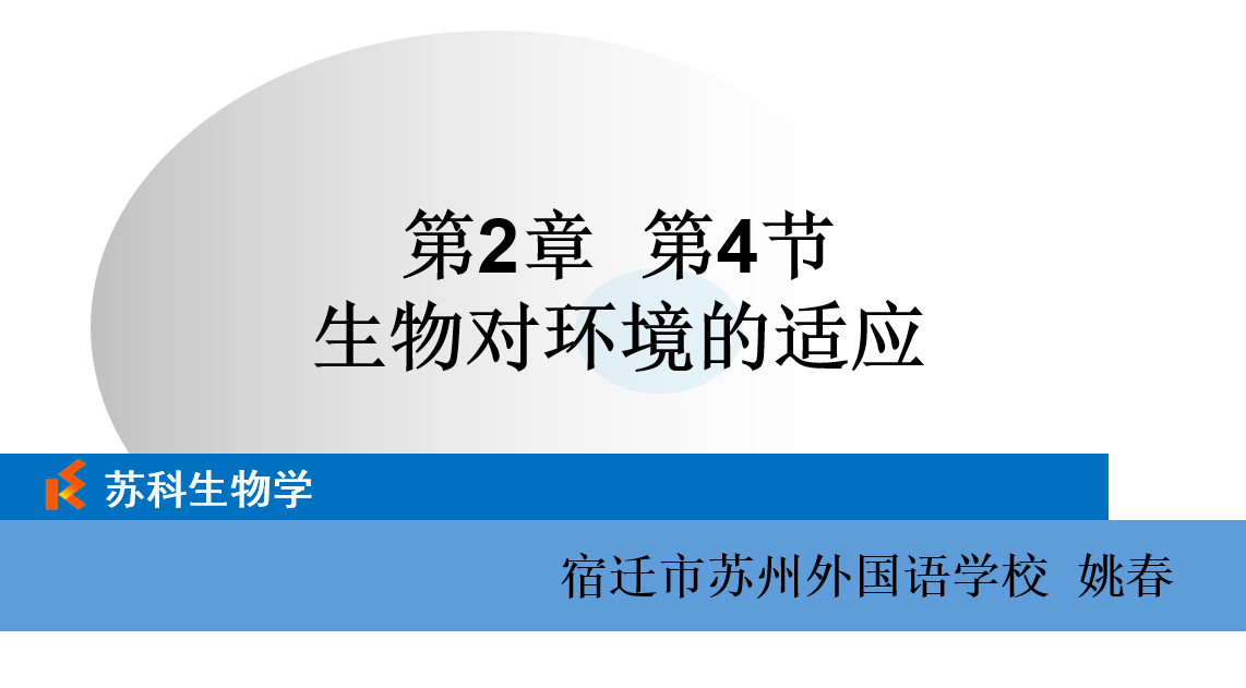 课程内容