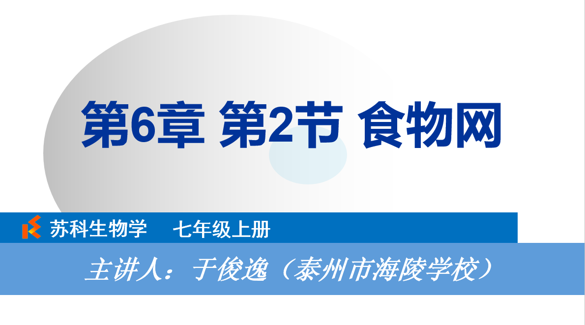 课程内容