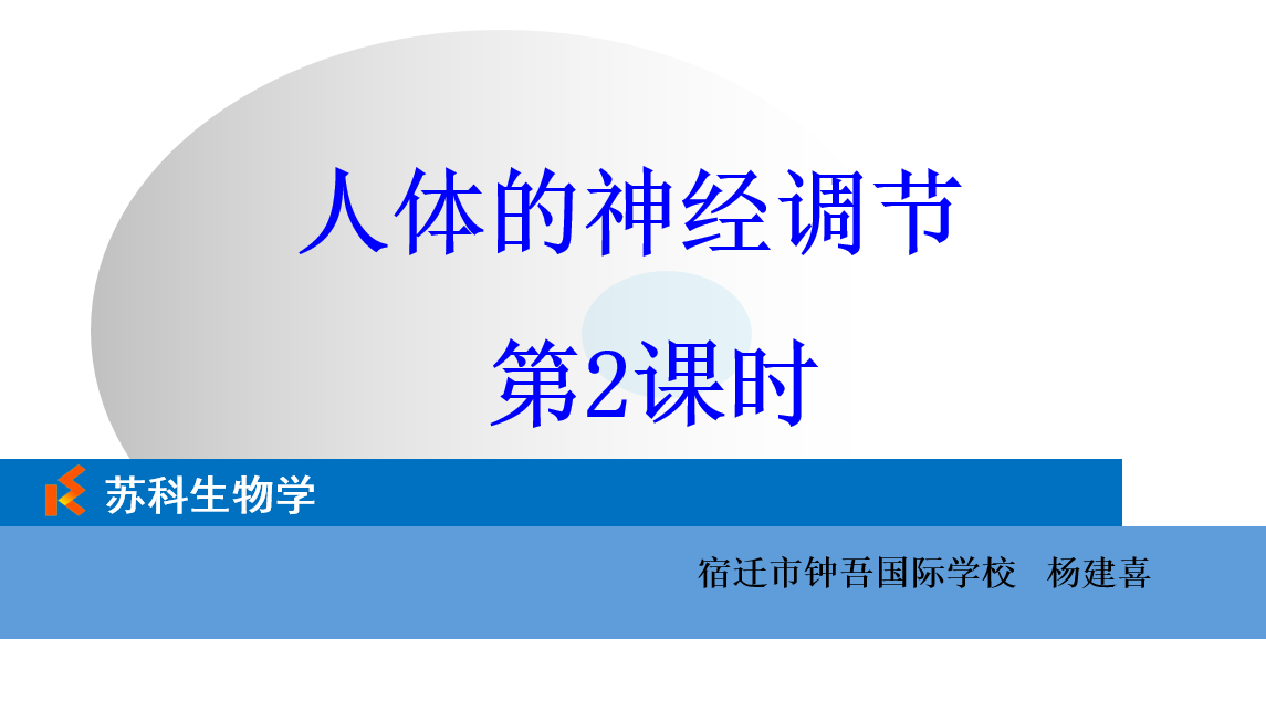 课程内容