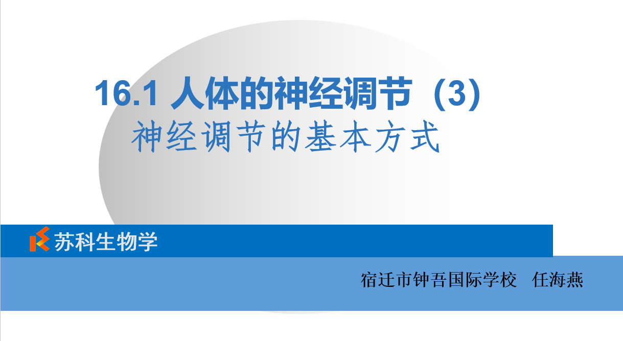 课程内容
