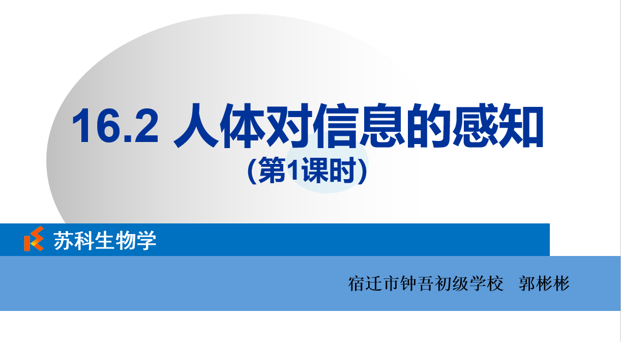 课程内容