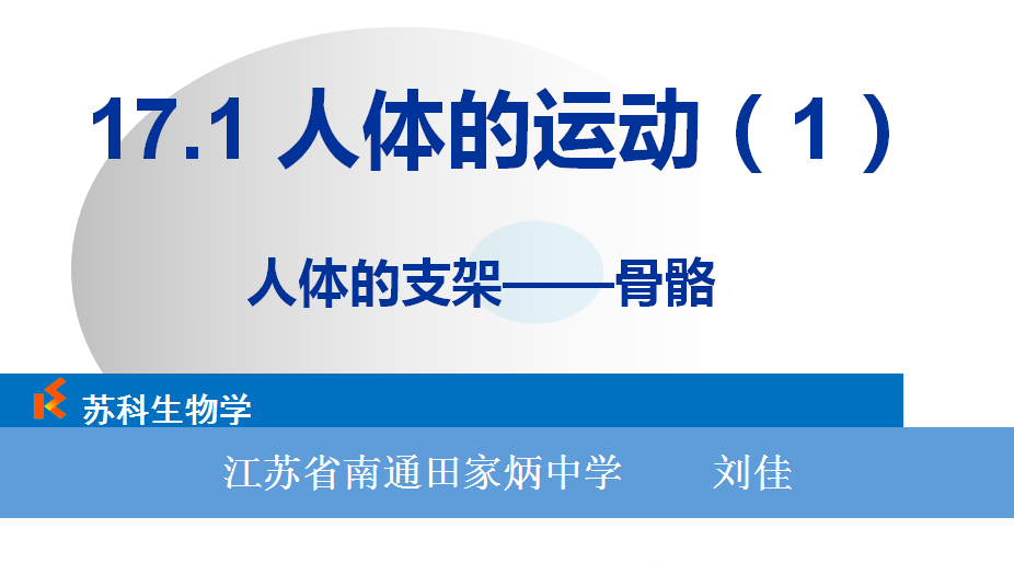 课程内容