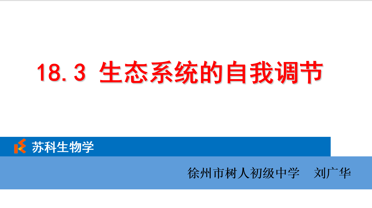 课程内容