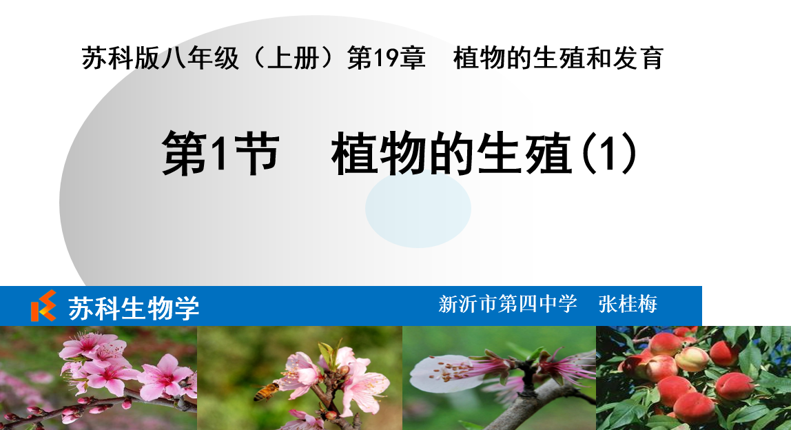 课程内容