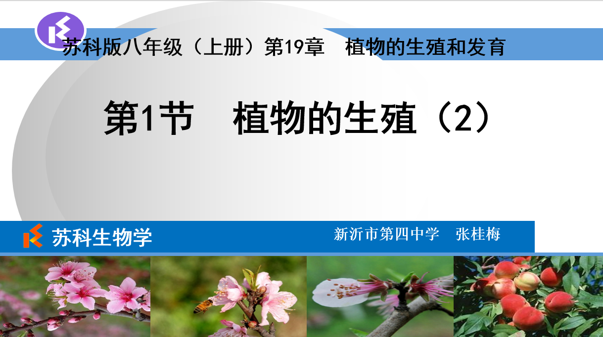 课程内容