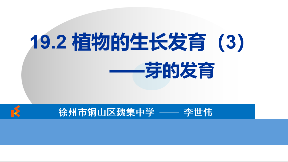 课程内容