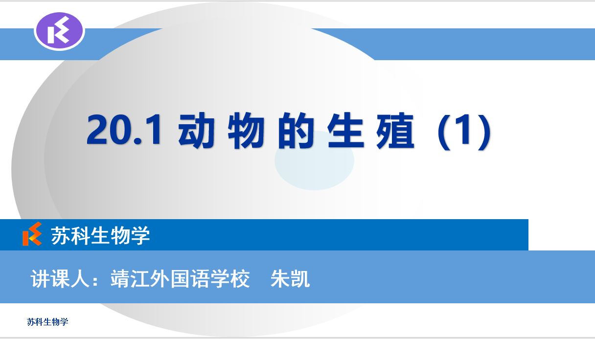课程内容