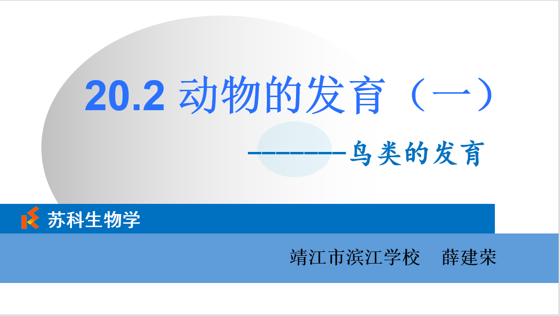 课程内容
