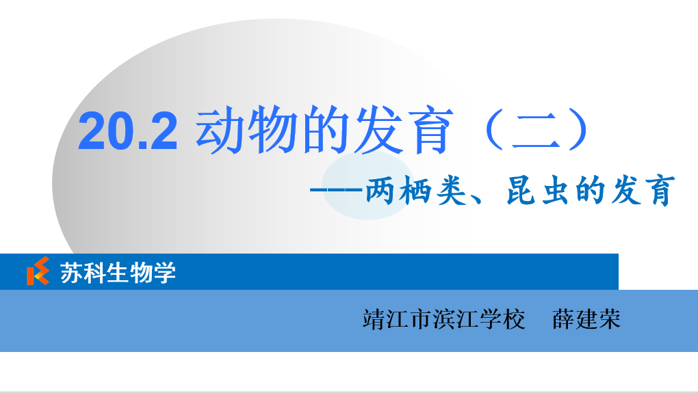 课程内容