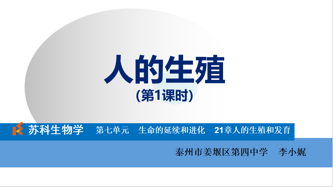 课程内容