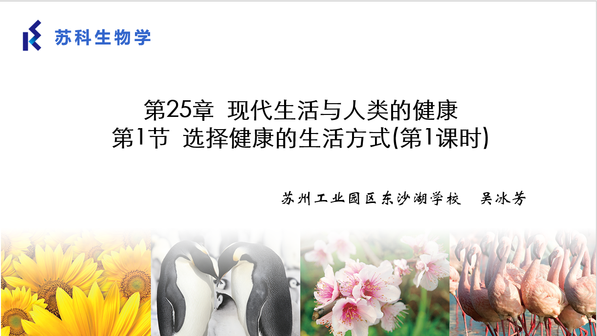 课程内容
