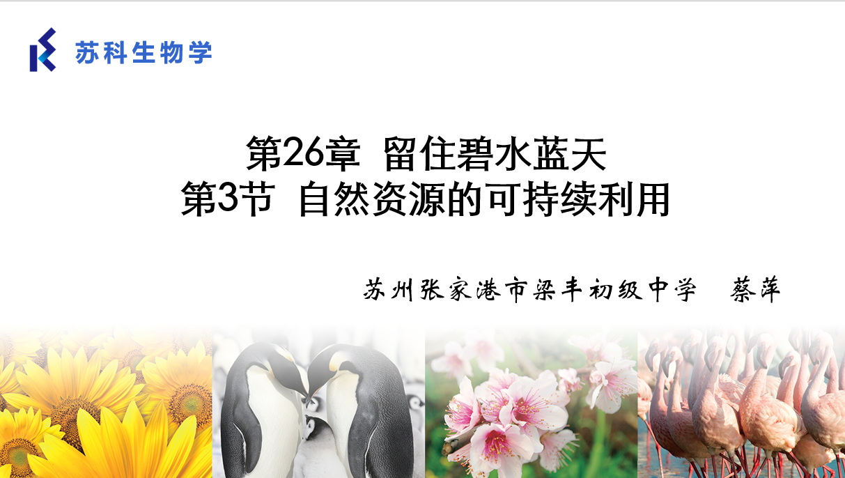 课程内容