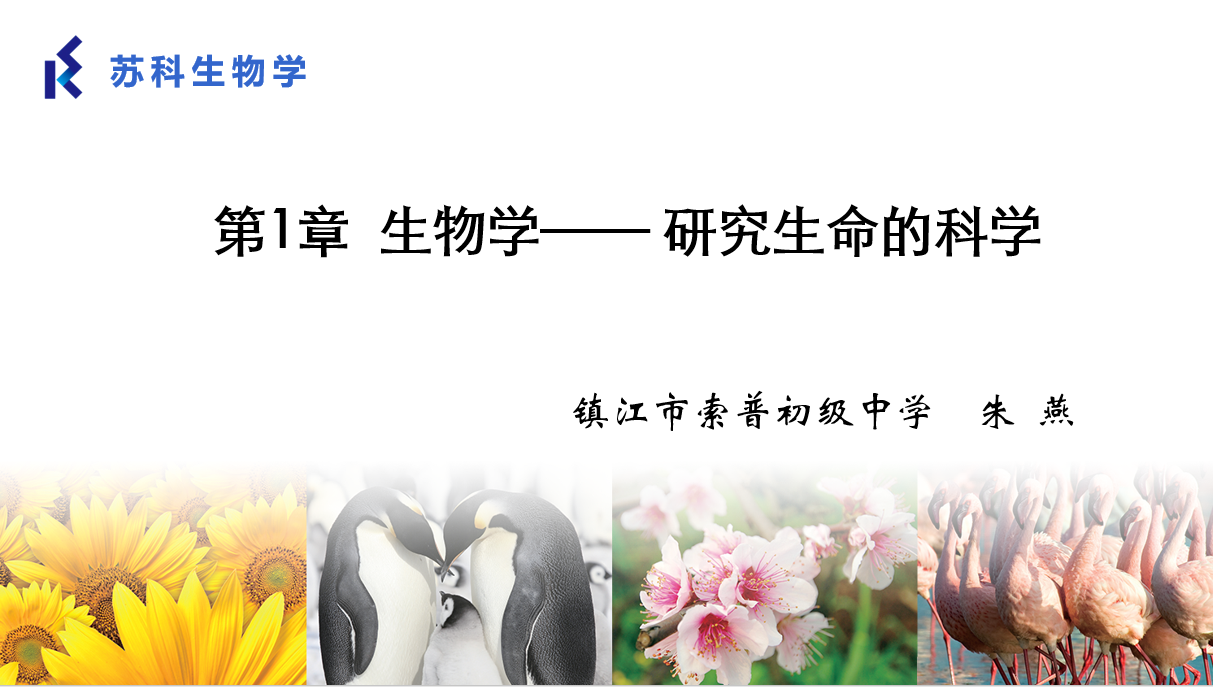 课程内容