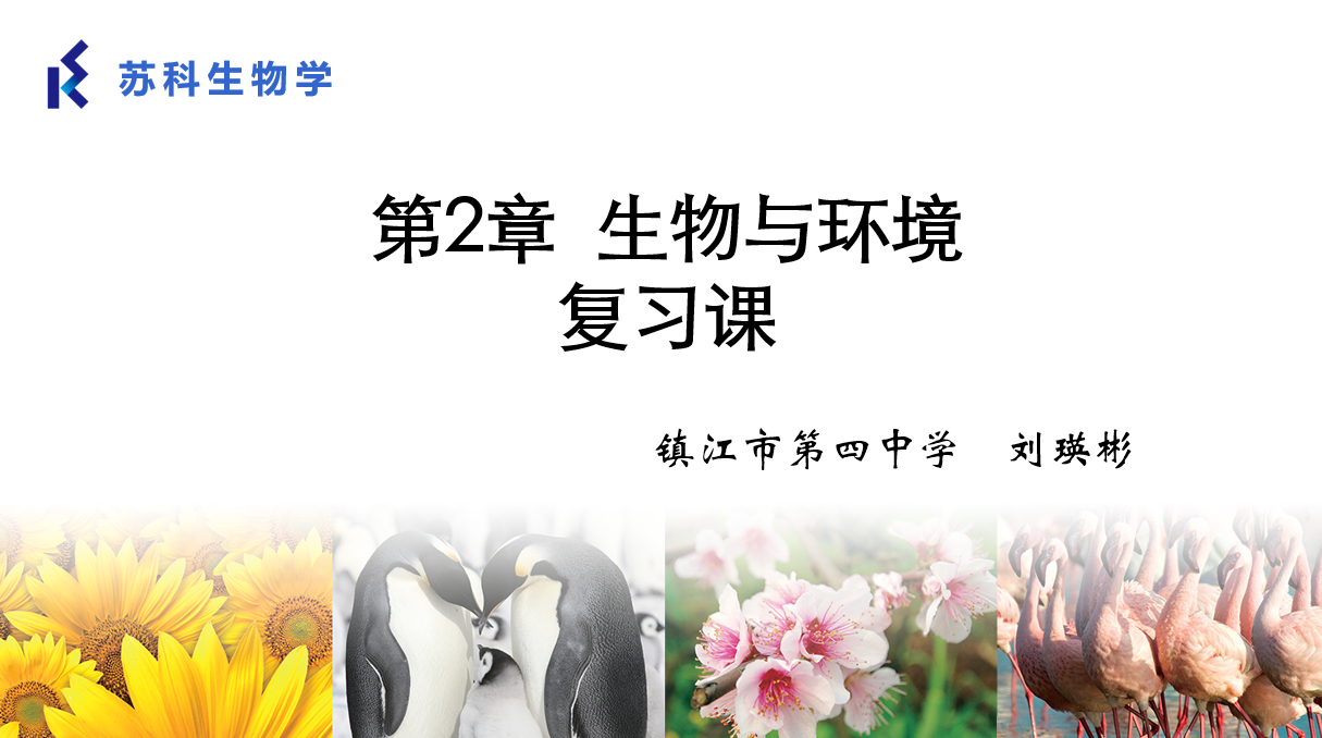 课程内容