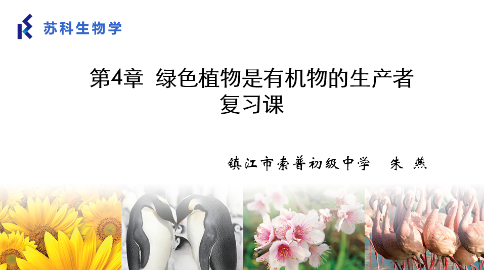 课程内容