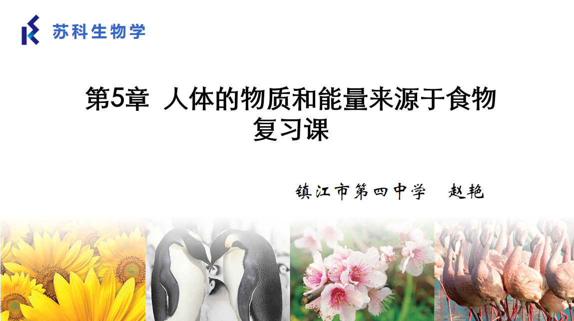 课程内容