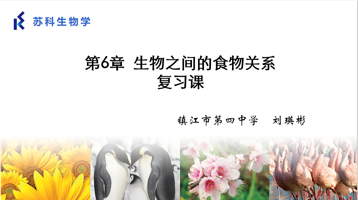 课程内容