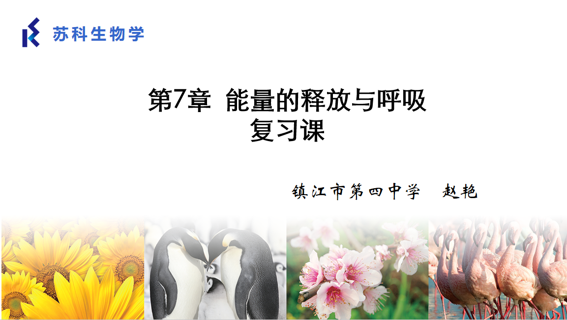 课程内容