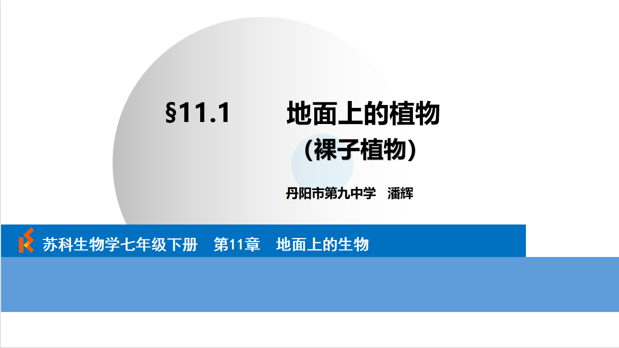 课程内容