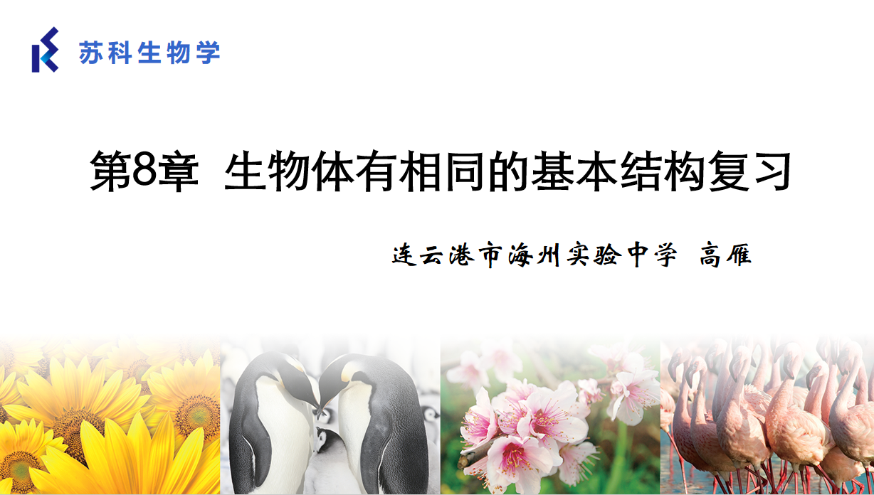 课程内容