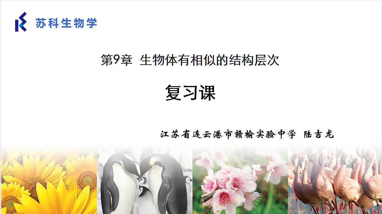 课程内容