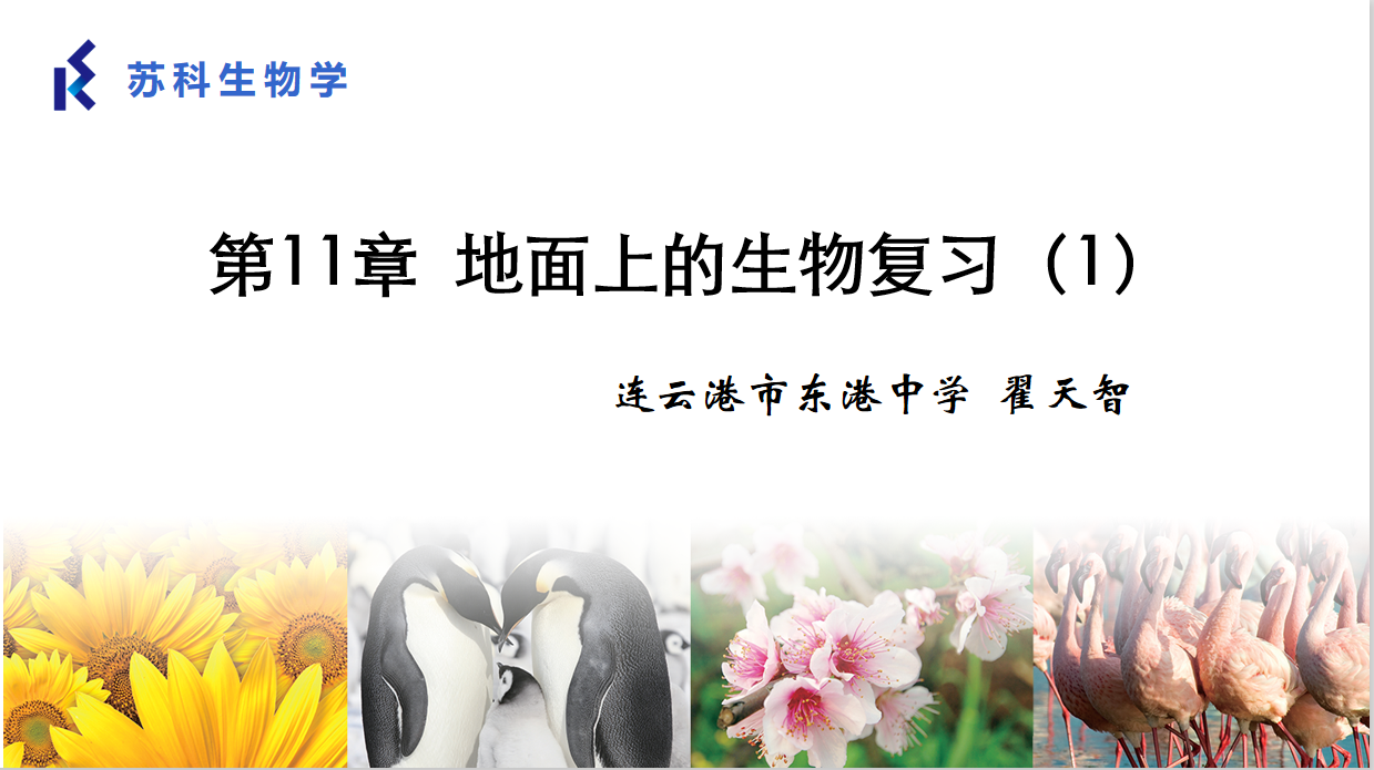 课程内容