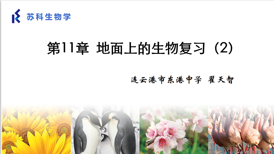 课程内容
