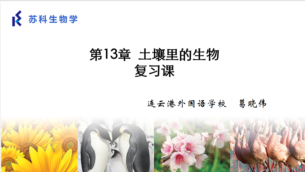 课程内容