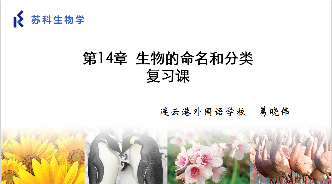 课程内容