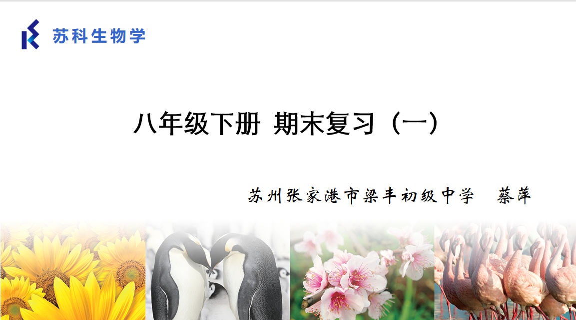 课程内容