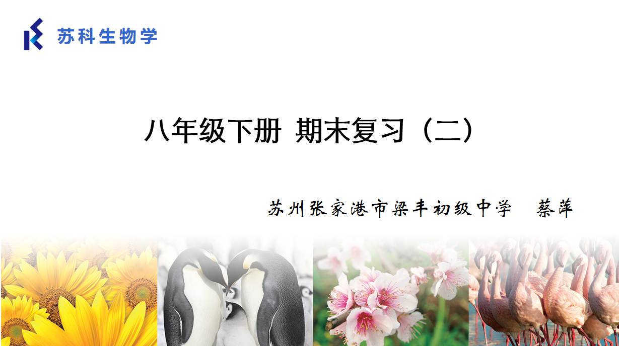 课程内容